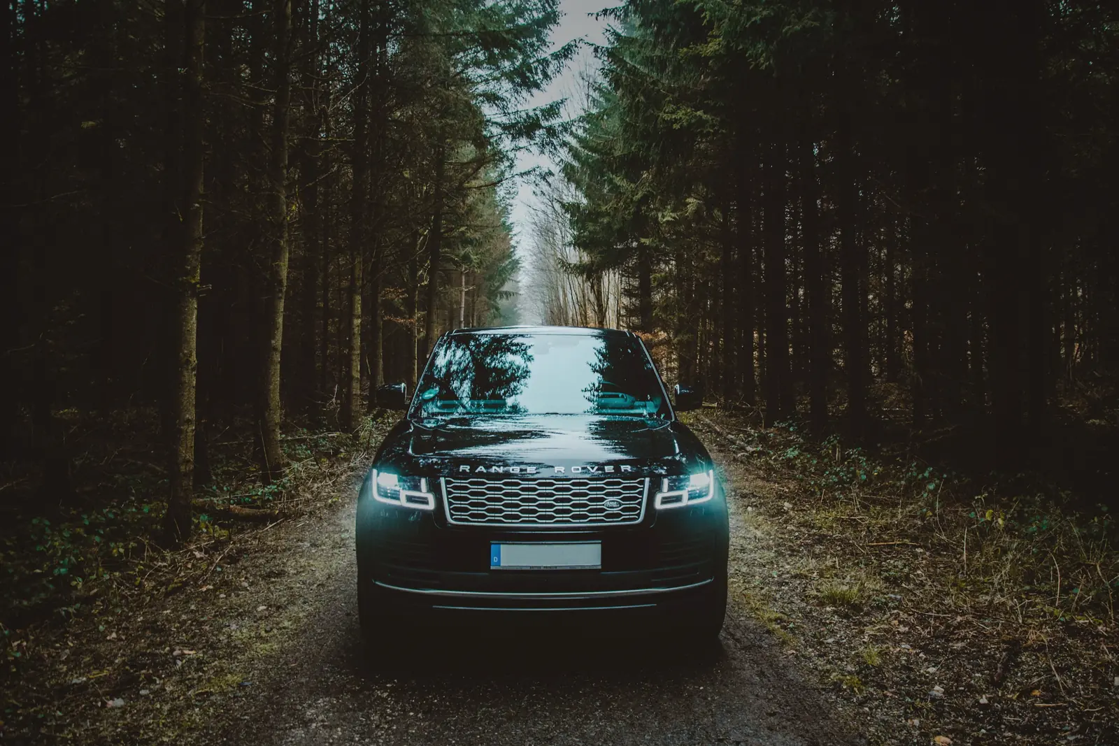 Range Rover on a forest road