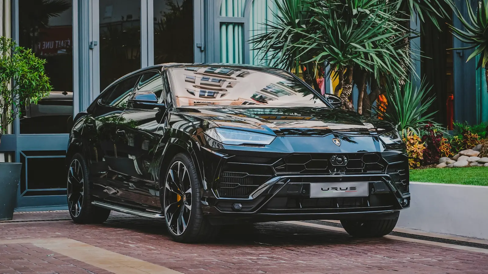 Lamborghini Urus at an entrance under palms, black